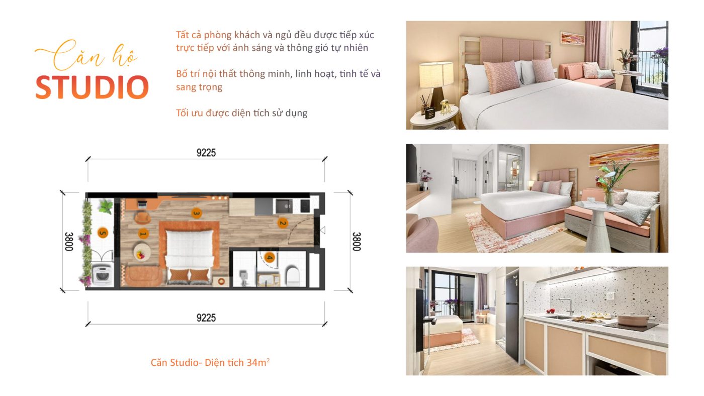 CAN STUDIO LAYOUT